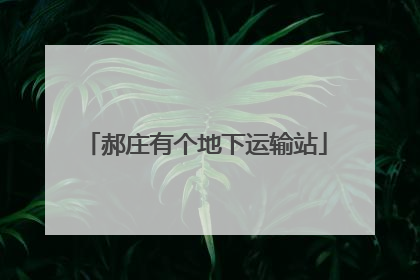 郝庄有个地下运输站