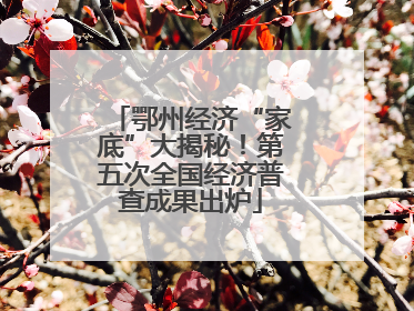 鄂州经济“家底”大揭秘！第五次全国经济普查成果出炉
