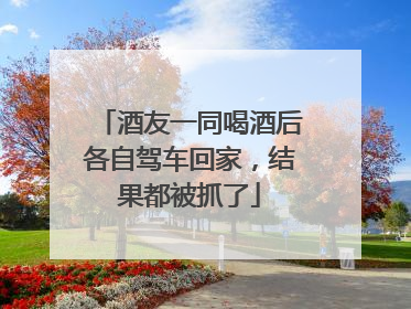 酒友一同喝酒后各自驾车回家，结果都被抓了