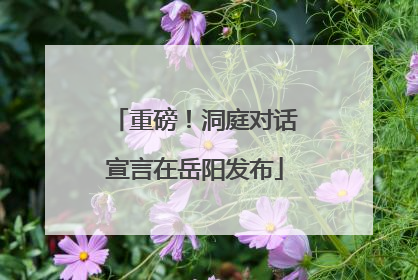重磅！洞庭对话宣言在岳阳发布