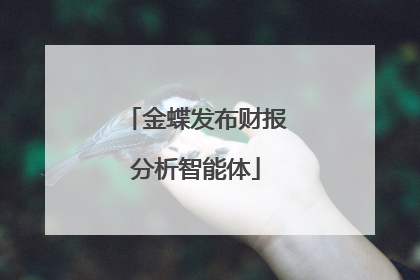 金蝶发布财报分析智能体