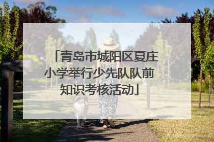青岛市城阳区夏庄小学举行少先队队前知识考核活动