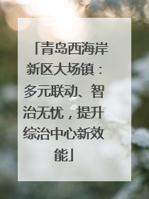 青岛西海岸新区大场镇：多元联动、智治无忧，提升综治中心新效能