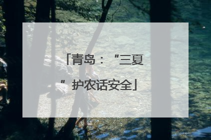 青岛：“三夏”护农话安全