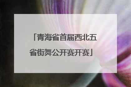 青海省首届西北五省街舞公开赛开赛