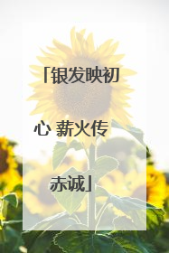 银发映初心 薪火传赤诚