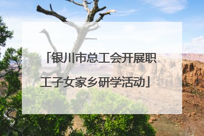 银川市总工会开展职工子女家乡研学活动
