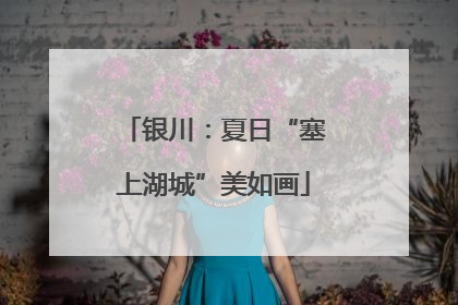 银川：夏日“塞上湖城”美如画