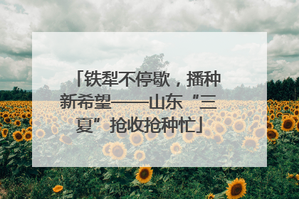 铁犁不停歇，播种新希望——山东“三夏”抢收抢种忙