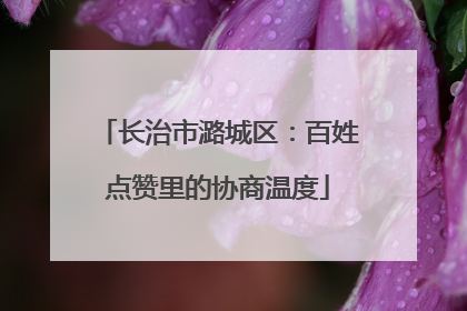 长治市潞城区：百姓点赞里的协商温度