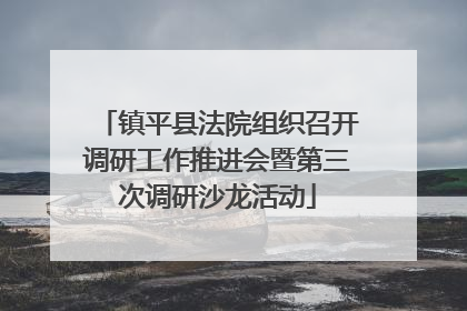 镇平县法院组织召开调研工作推进会暨第三次调研沙龙活动