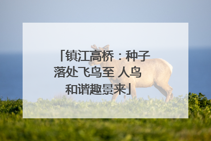 镇江高桥：种子落处飞鸟至 人鸟和谐趣景来