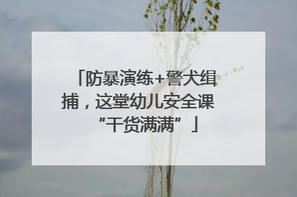 防暴演练+警犬缉捕，这堂幼儿安全课“干货满满”