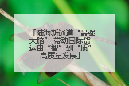 陆海新通道“最强大脑” 带动国际货运由“智”到“质”高质量发展
