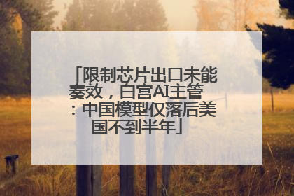 限制芯片出口未能奏效，白宫AI主管：中国模型仅落后美国不到半年