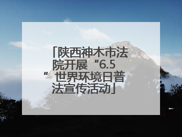 陕西神木市法院开展“6.5”世界环境日普法宣传活动