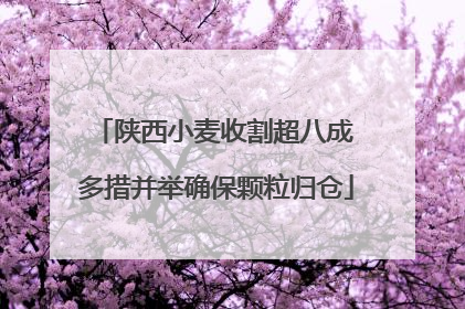 陕西小麦收割超八成 多措并举确保颗粒归仓