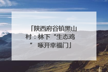 陕西府谷镇黑山村：林下“生态鸡” 啄开幸福门