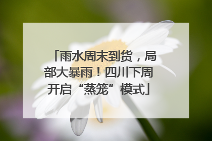雨水周末到货，局部大暴雨！四川下周开启“蒸笼”模式