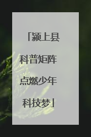 颍上县科普矩阵点燃少年科技梦