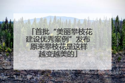 首批“美丽攀枝花建设优秀案例”发布 原来攀枝花是这样越变越美的