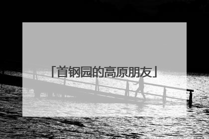 首钢园的高原朋友