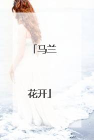 马兰花开