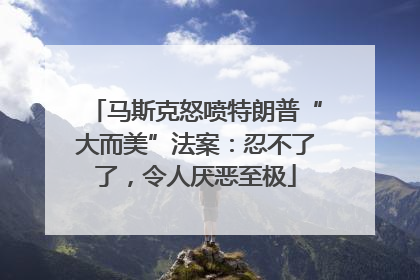 马斯克怒喷特朗普“大而美”法案：忍不了了，令人厌恶至极
