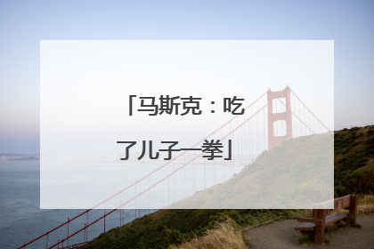 马斯克：吃了儿子一拳
