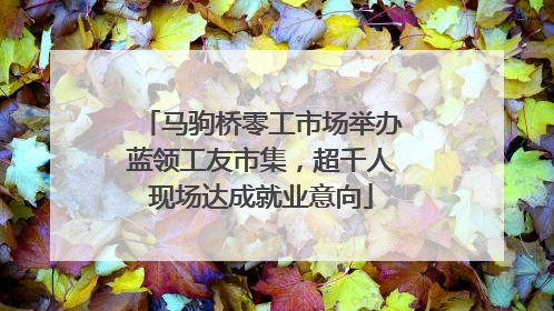 马驹桥零工市场举办蓝领工友市集，超千人现场达成就业意向