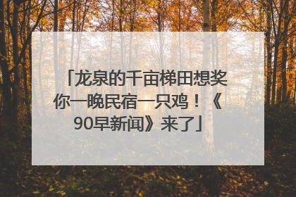 龙泉的千亩梯田想奖你一晚民宿一只鸡！《90早新闻》来了