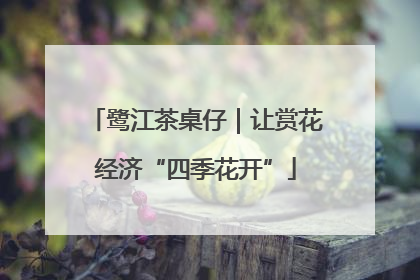 鹭江茶桌仔｜让赏花经济“四季花开”