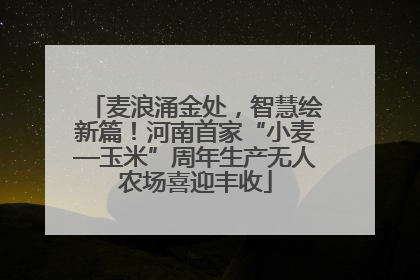 麦浪涌金处，智慧绘新篇！河南首家“小麦—玉米”周年生产无人农场喜迎丰收