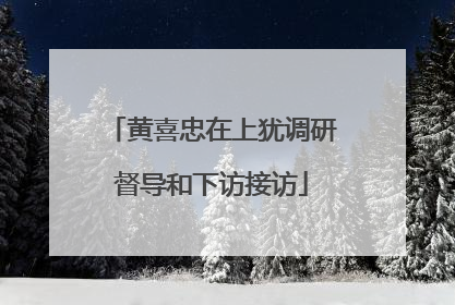 黄喜忠在上犹调研督导和下访接访