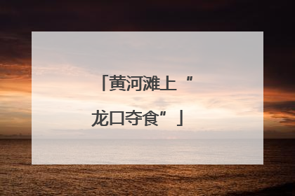 黄河滩上“龙口夺食”