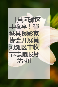 黄河滩区丰收季！郓城县摄影家协会开展黄河滩区丰收节志愿服务活动