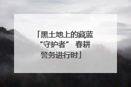 黑土地上的藏蓝“守护者” 春耕警务进行时