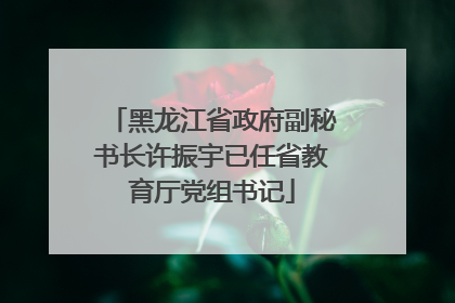 黑龙江省政府副秘书长许振宇已任省教育厅党组书记