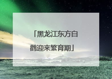 黑龙江东方白鹳迎来繁育期