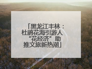 黑龙江丰林：杜鹃花海引游人 “花经济”助推文旅新热潮