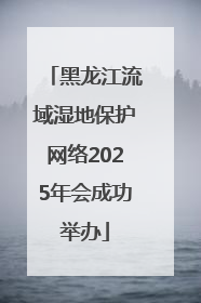 黑龙江流域湿地保护网络2025年会成功举办