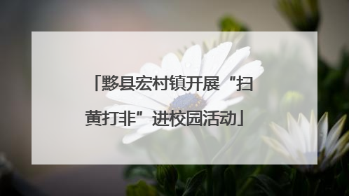 黟县宏村镇开展“扫黄打非”进校园活动