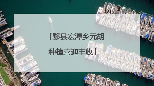 黟县宏潭乡元胡种植喜迎丰收