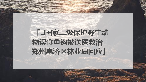 ﻿国家二级保护野生动物误食鱼钩被送医救治 郑州惠济区林业局回应