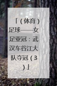 （体育）足球——女足亚冠：武汉车谷江大队夺冠（3）