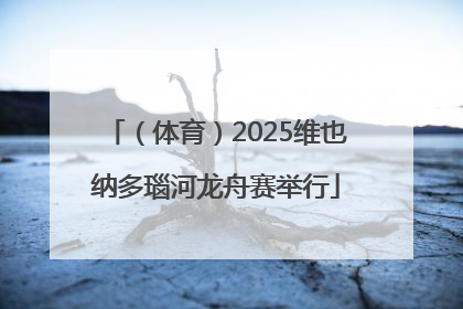 （体育）2025维也纳多瑙河龙舟赛举行