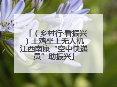 （乡村行·看振兴）土鸡坐上无人机 江西南康“空中快递员”助振兴