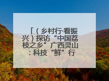 （乡村行·看振兴）探访“中国荔枝之乡”广西灵山：科技“鲜”行 实“荔”C位