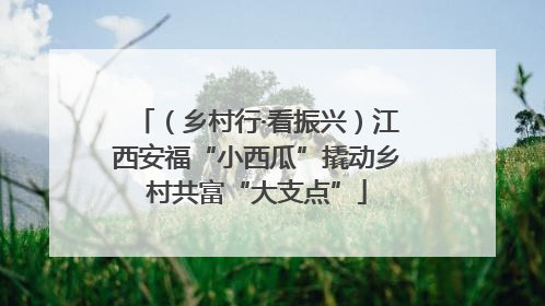 （乡村行·看振兴）江西安福“小西瓜”撬动乡村共富“大支点”