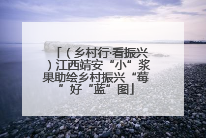 （乡村行·看振兴）江西靖安“小”浆果助绘乡村振兴“莓”好“蓝”图